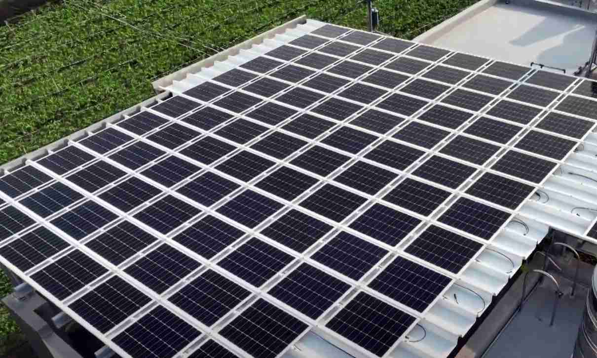 尊龙z6SunSteel光电浪板升级双玻结构，，，，以提升机械负载强度及气候耐候度，，，，可广泛运用于多元场域