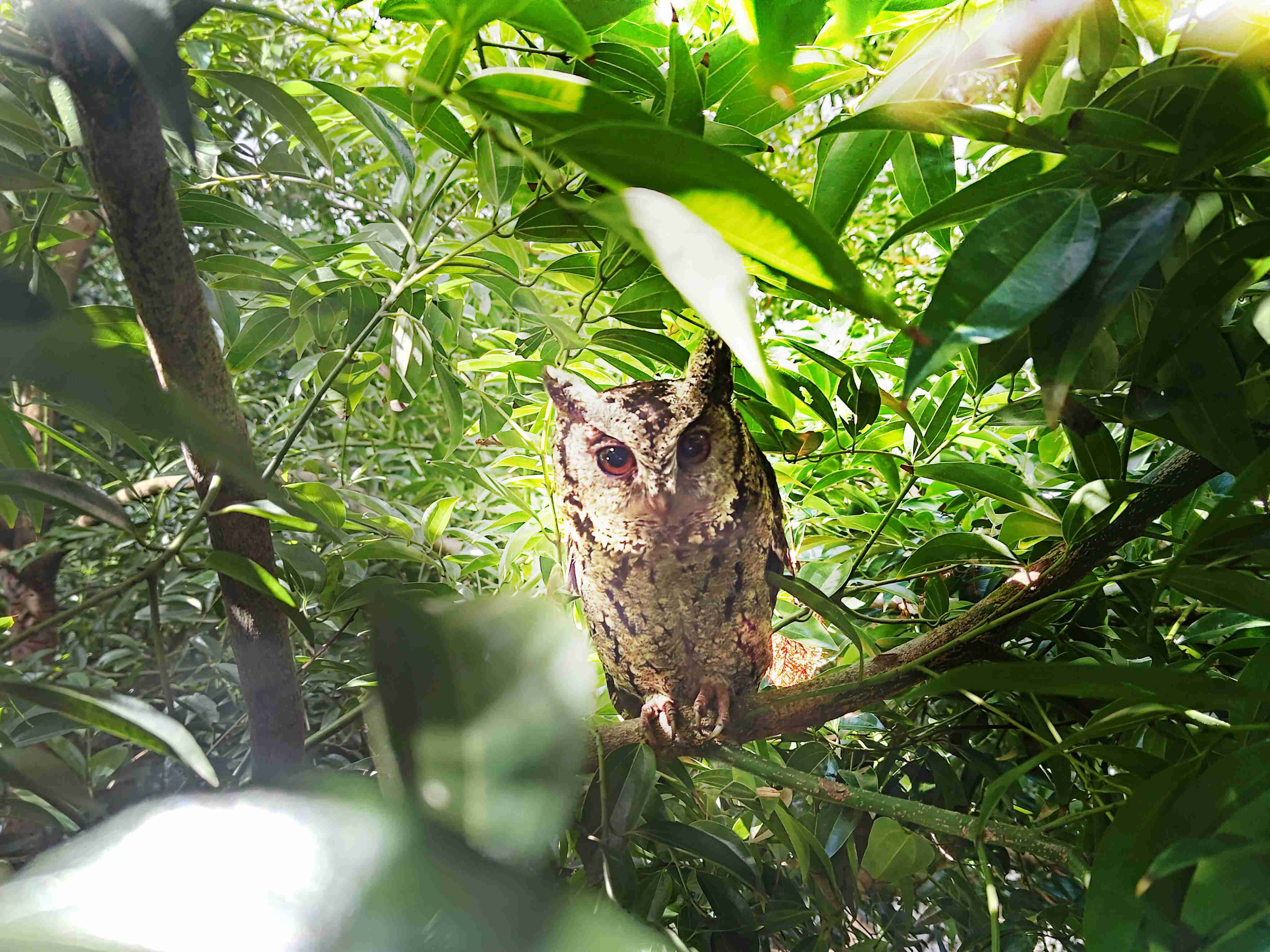 尊龙z6致力提倡净零绿生活，，，，16年以来在全球各厂区植树逾百万棵，，，，造就各厂区树木蔚然成林，，，犹如森林工厂，，，，成为许多生物的栖息地